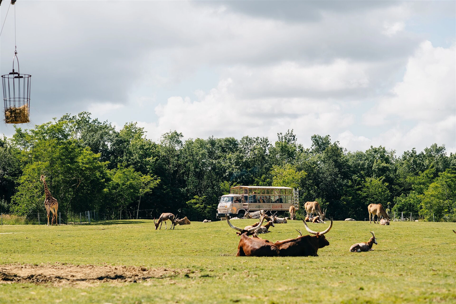 Safarie Raid 4×4 a Planete Sauvage