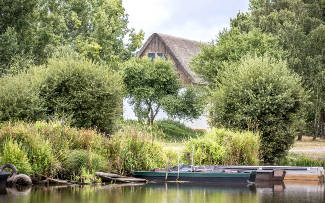 Terre de Sel et marais de Brière