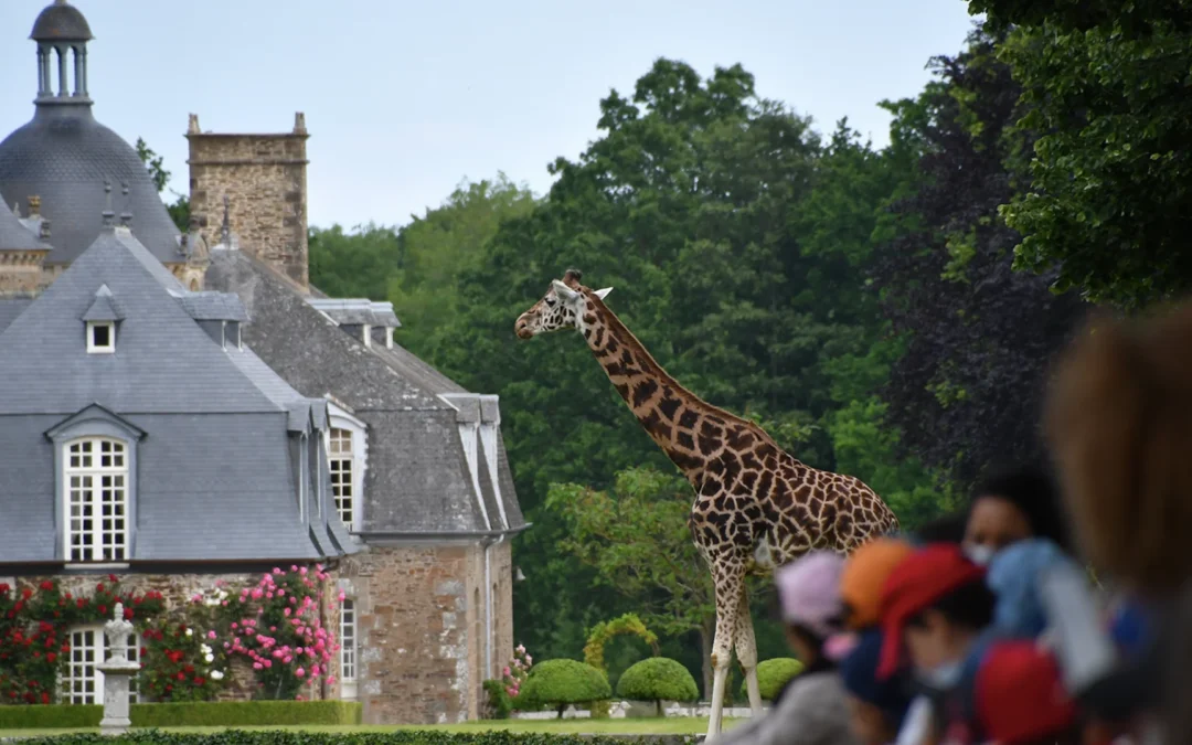 Domaine de la Bourbansais