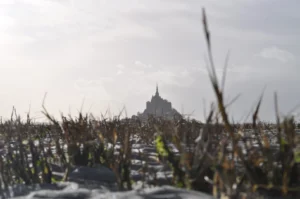 15bbddeb 145a cc66 3094 cdeae2e8555d